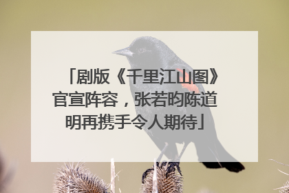剧版《千里江山图》官宣阵容，张若昀陈道明再携手令人期待